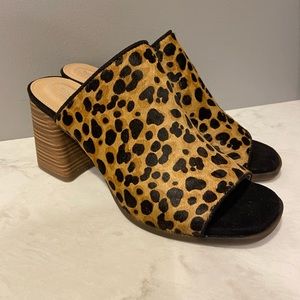 Rockport Amara slide leopard